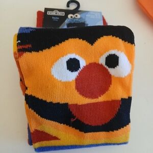 Fun Sesame Street Bert Socks